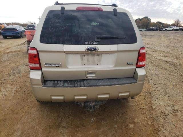 2010 Ford Escape XLT