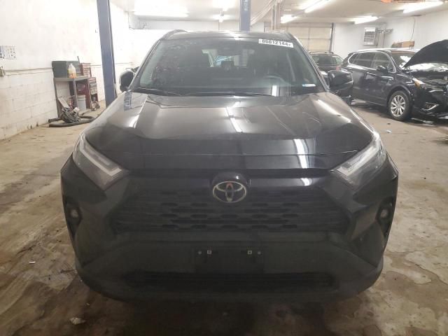 2023 Toyota Rav4 XLE Premium