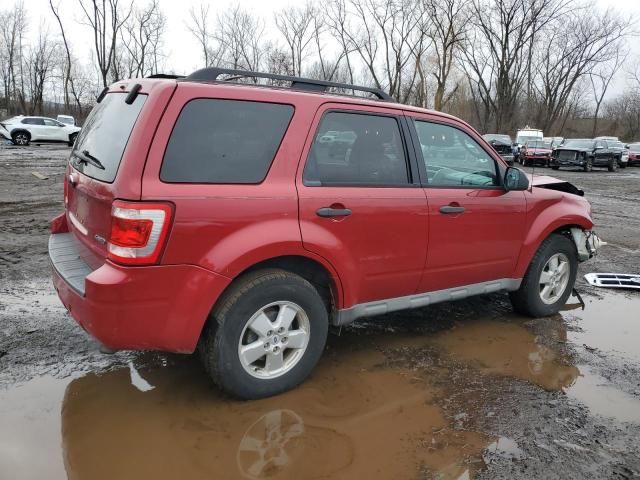 2009 Ford Escape XLT