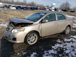 Salvage cars for sale at Hillsborough, NJ auction: 2010 Toyota Corolla Base