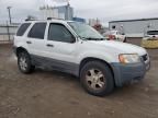 2003 Ford Escape XLT