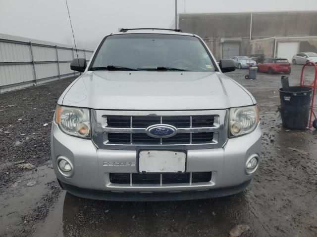 2011 Ford Escape XLT