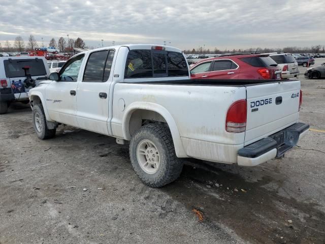 2000 Dodge Dakota Quattro