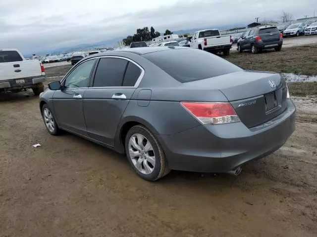 2010 Honda Accord EXL