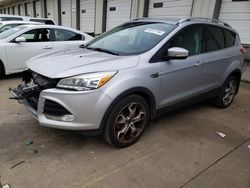 Salvage cars for sale at Louisville, KY auction: 2014 Ford Escape Titanium