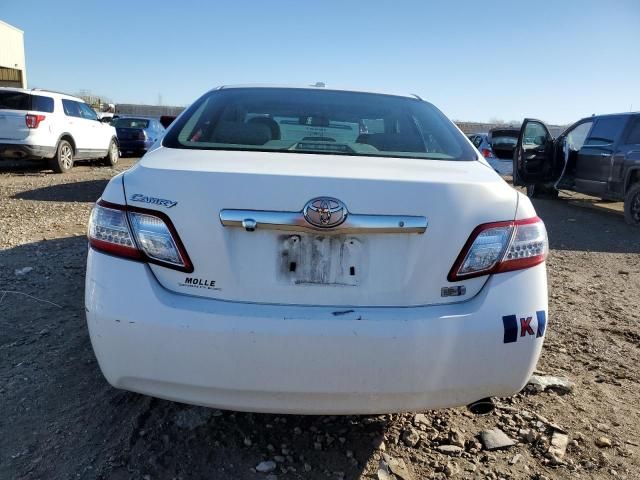 2011 Toyota Camry Hybrid