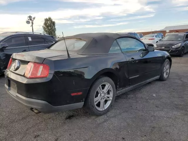 2010 Ford Mustang