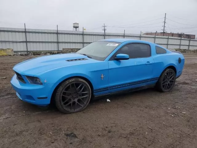 2010 Ford Mustang