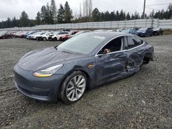 Salvage cars for sale at Graham, WA auction: 2020 Tesla Model 3