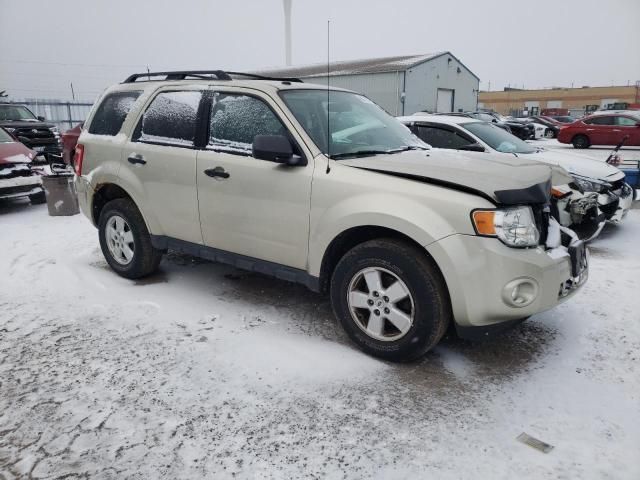 2010 Ford Escape XLT