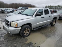 Dodge Dakota Quad slt salvage cars for sale: 2007 Dodge Dakota Quad SLT