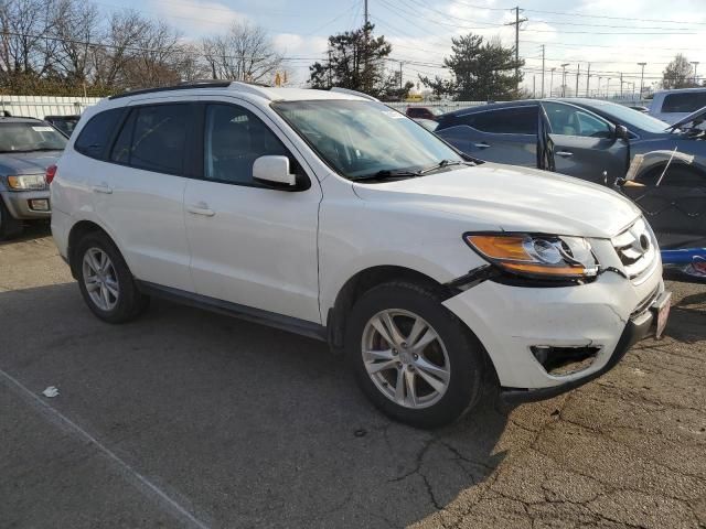 2010 Hyundai Santa FE SE