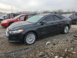 Salvage cars for sale at Louisville, KY auction: 2013 Ford Fusion SE Hybrid