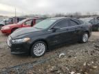 2013 Ford Fusion SE Hybrid