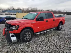 Salvage cars for sale at Barberton, OH auction: 2011 Ford F150 Supercrew