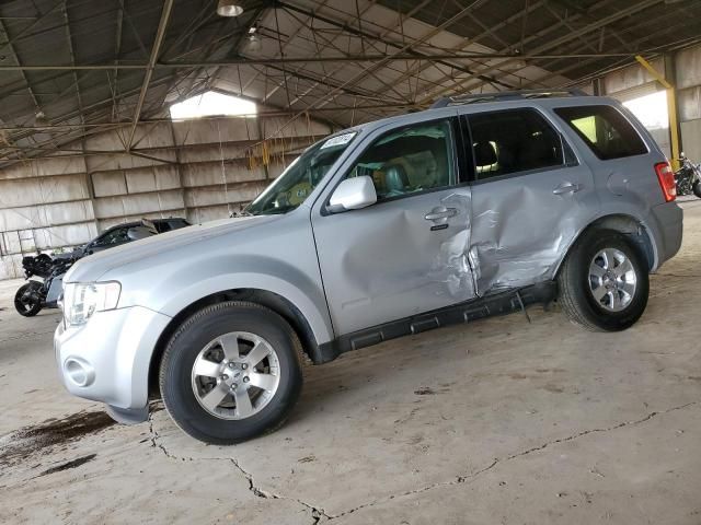 2011 Ford Escape Limited