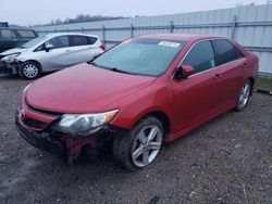 Salvage cars for sale at Anderson, CA auction: 2013 Toyota Camry L