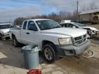 2008 Dodge Dakota SXT