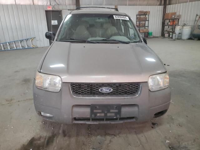 2001 Ford Escape XLT