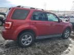 2009 Ford Escape Limited