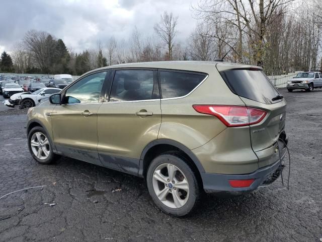 2013 Ford Escape SE