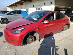 2021 Tesla Model Y en venta en Dyer, IN