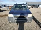 2004 Ford Escape XLT