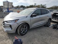 Ford Escape st salvage cars for sale: 2023 Ford Escape ST Line