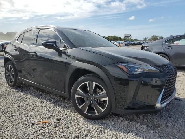 2019 Lexus UX 200