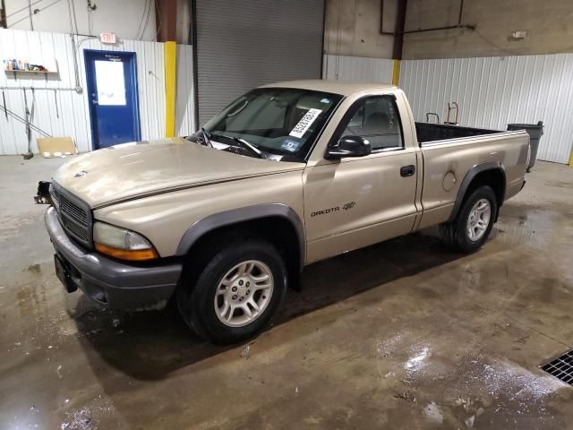 2002 Dodge Dakota Base