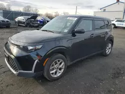 Salvage cars for sale at Windsor, NJ auction: 2023 KIA Soul LX