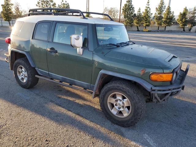 2010 Toyota FJ Cruiser