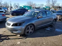 Salvage cars for sale at Baltimore, MD auction: 2010 Honda Accord LX