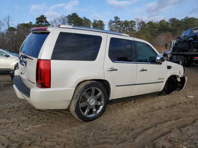 2010 Cadillac Escalade Premium