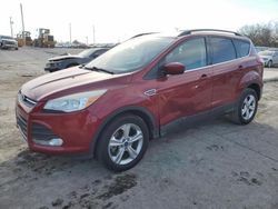 Ford Escape salvage cars for sale: 2014 Ford Escape SE