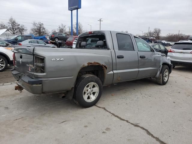 2010 Dodge Dakota SXT