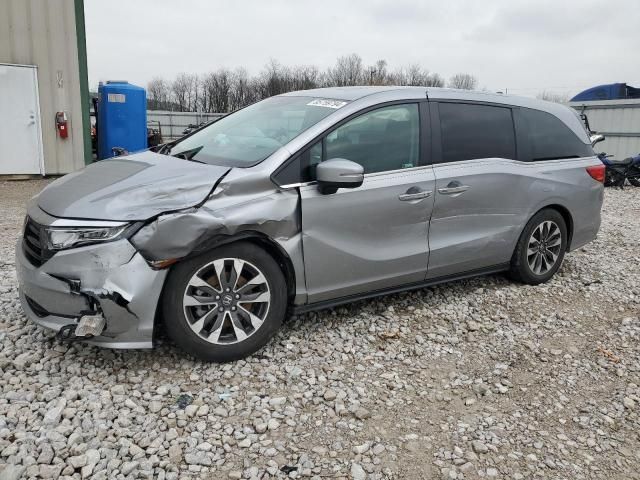 2023 Honda Odyssey EXL