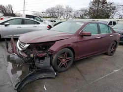 Honda Accord exl salvage cars for sale: 2013 Honda Accord EXL