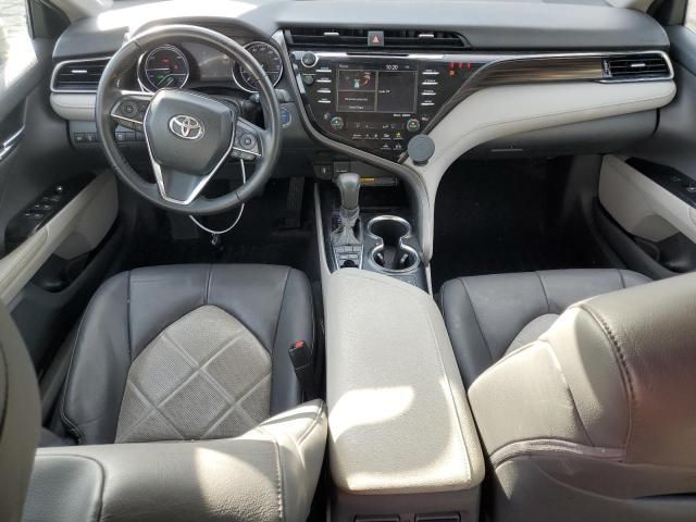 2019 Toyota Camry Hybrid