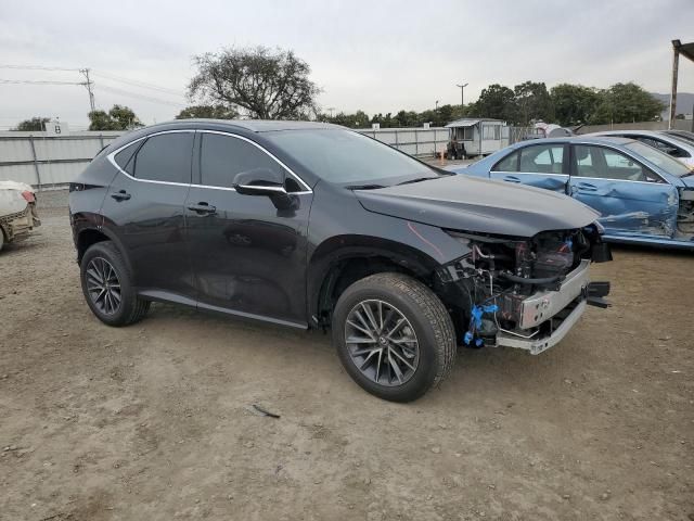 2025 Lexus NX 350H Base