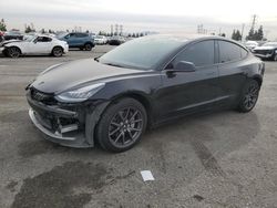 Salvage cars for sale at Rancho Cucamonga, CA auction: 2018 Tesla Model 3