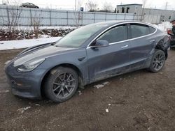 Salvage cars for sale at London, ON auction: 2020 Tesla Model 3