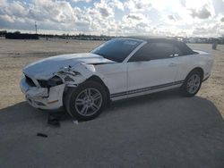 Salvage cars for sale at Arcadia, FL auction: 2010 Ford Mustang