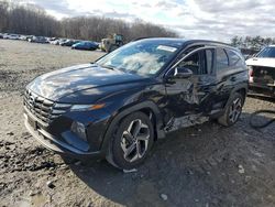 Salvage cars for sale at Windsor, NJ auction: 2023 Hyundai Tucson SEL