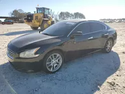 2010 Nissan Maxima S en venta en Loganville, GA