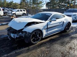 Salvage cars for sale at Denver, CO auction: 2019 Ford Mustang GT