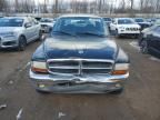 2004 Dodge Dakota Quad SLT