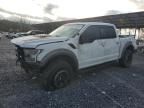 2017 Ford F150 Raptor