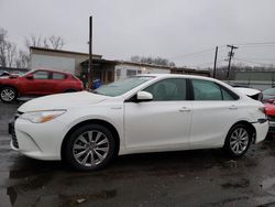 Toyota salvage cars for sale: 2016 Toyota Camry Hybrid