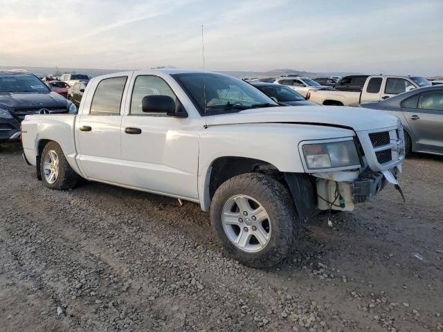 2010 Dodge Dakota SXT